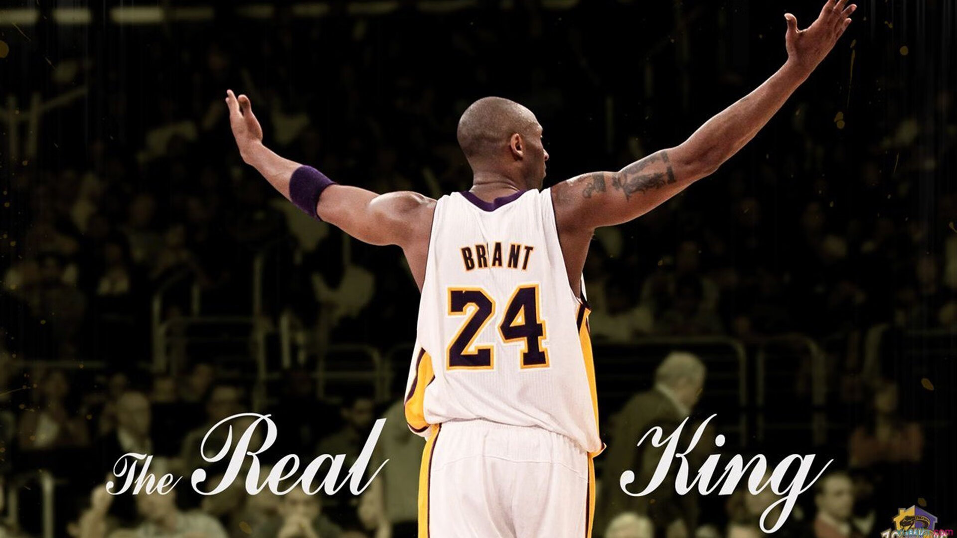 湖滨赛事添活力，城市品牌再升级，湖滨属于哪个地方